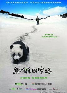 熊猫回家路电影在线视频,穿越险境，追寻家园的温馨之旅